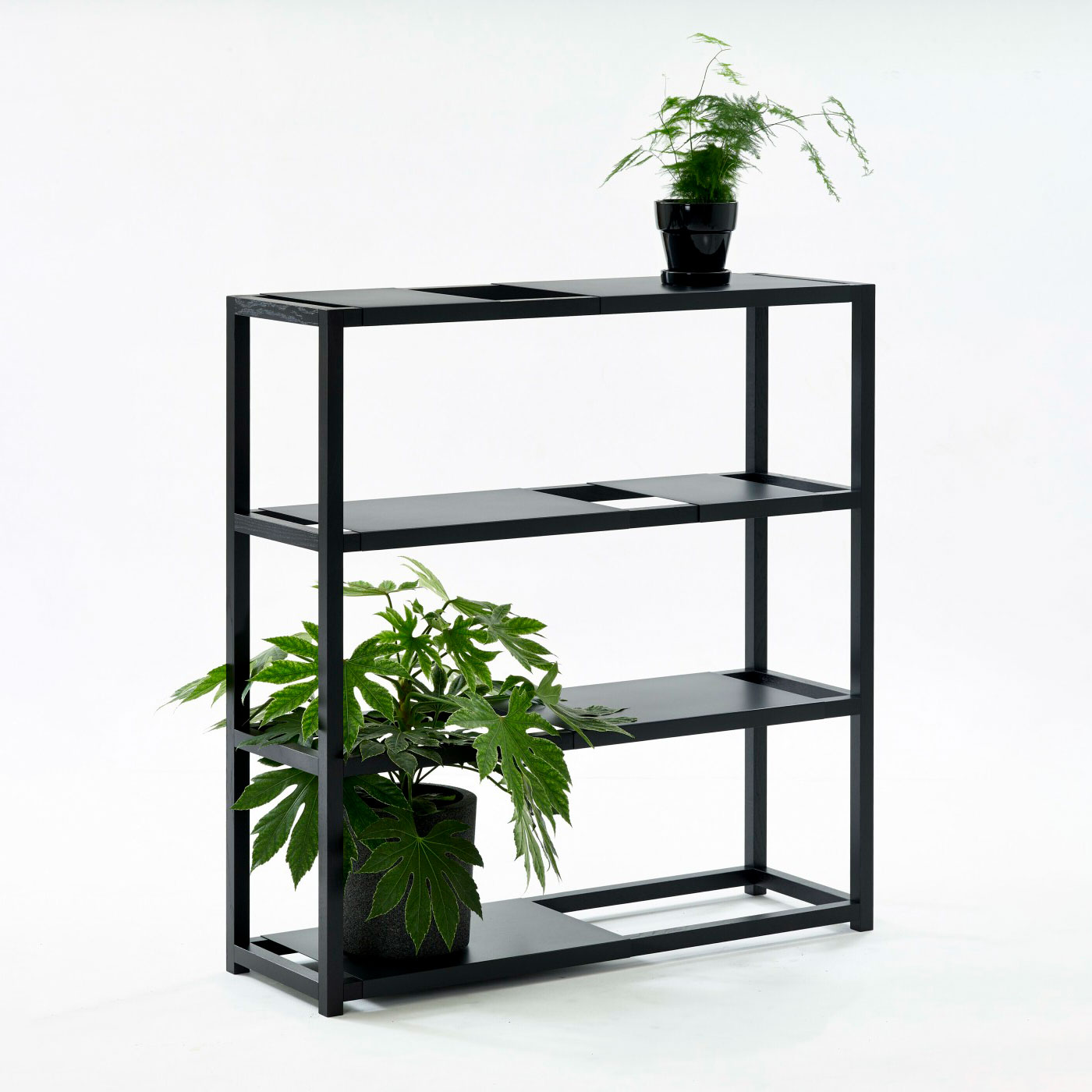 The Botanic Shelf hylly, korkea - Image 2